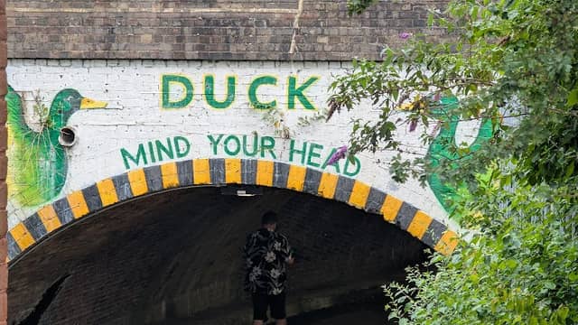 Duck Bridge - Image 2