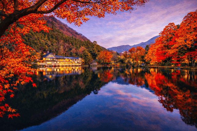 金鱗湖觀景台 - Image 3