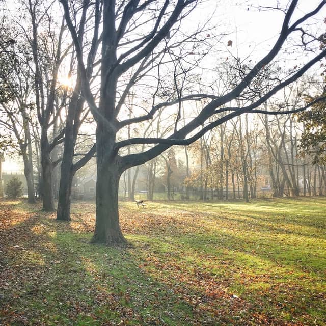 Kiwanis Park - Image 1