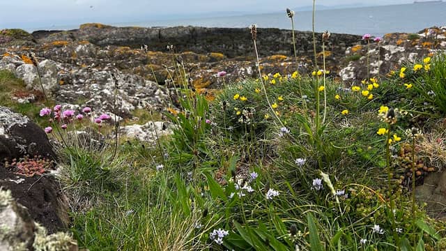 Ballymacormick Point - Image 1