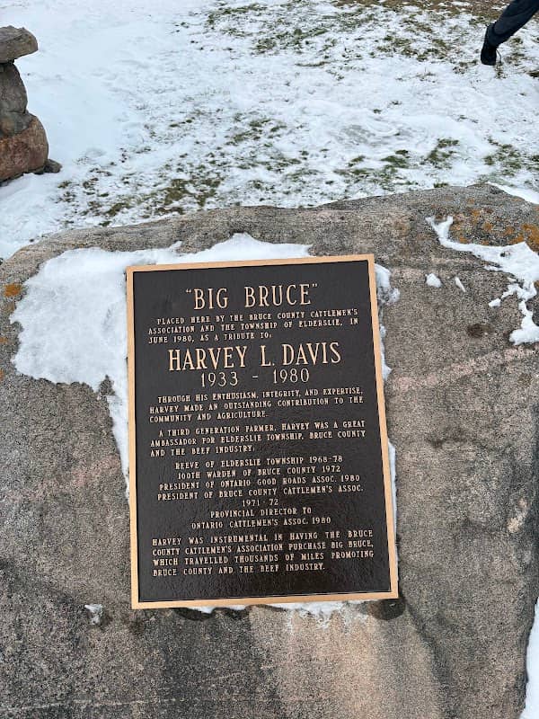 Big Bruce - Image 2