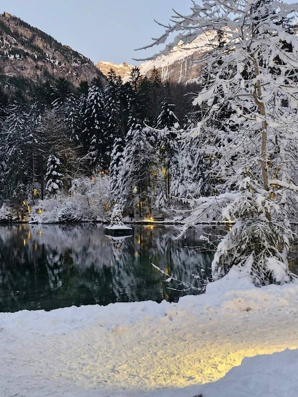 Blausee - Image 1