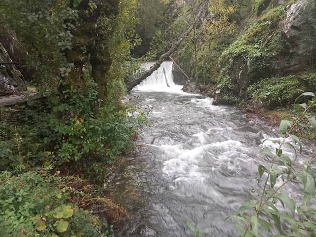 Cascata da Senhora da Piedade - Image 2