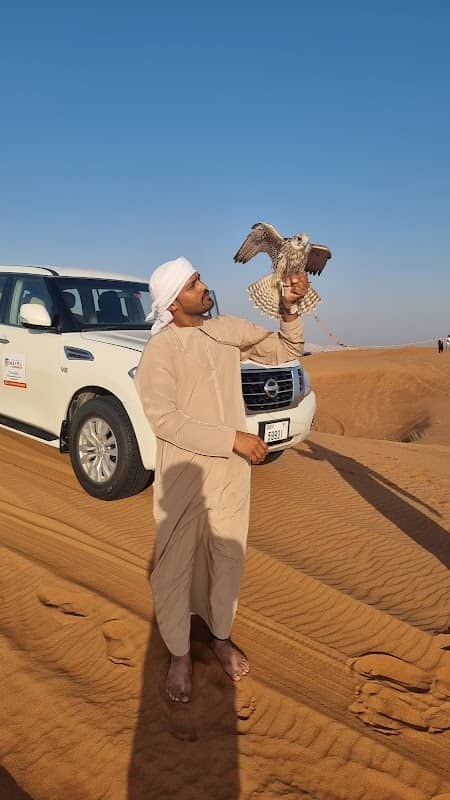 Desert Safari Ajman - Image 1