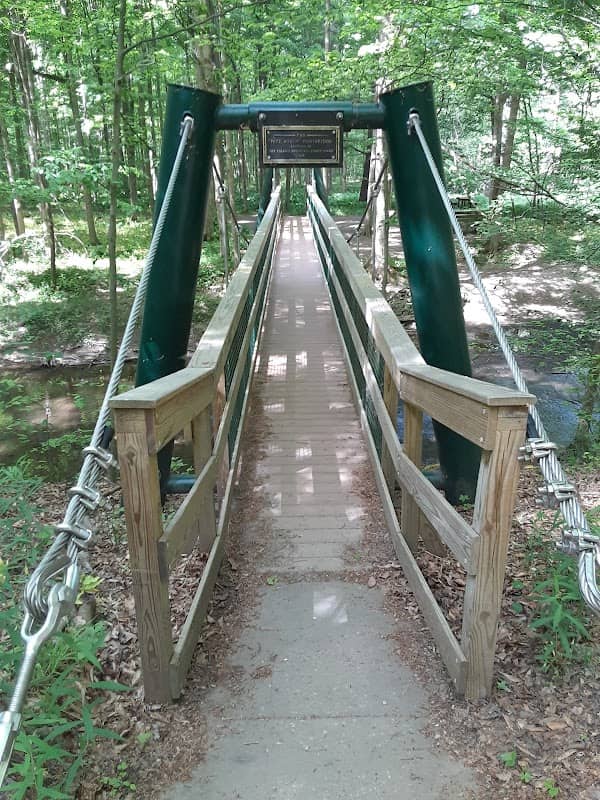 Poland Municipal Forest - Image 1