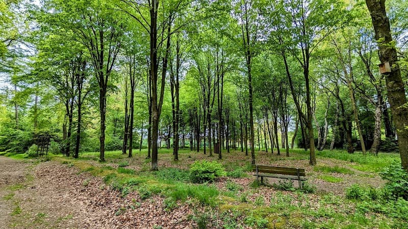 Hermann-Droste Park - Image 1