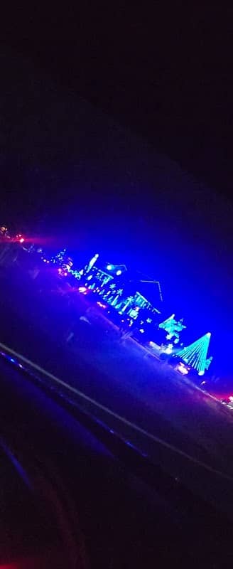 Lewis Family Light Show - Image 1