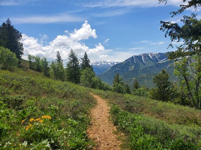 Jardine Juniper Trail Head - Image 3