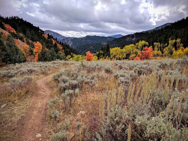 Jardine Juniper Trail Head - Image 2