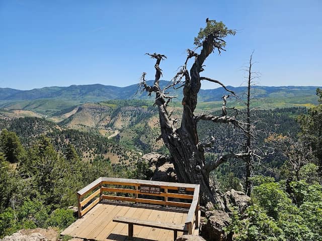 Jardine Juniper Trail Head - Image 1