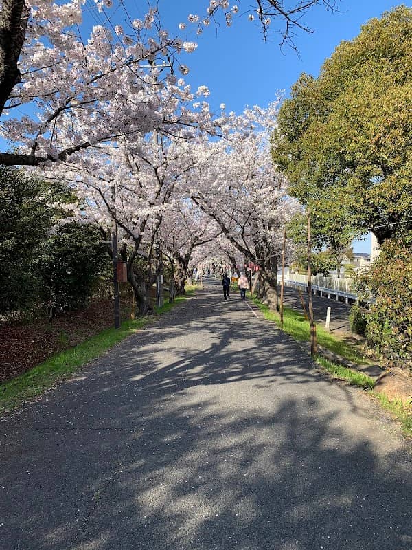 Tsurusaki Park - Image 1