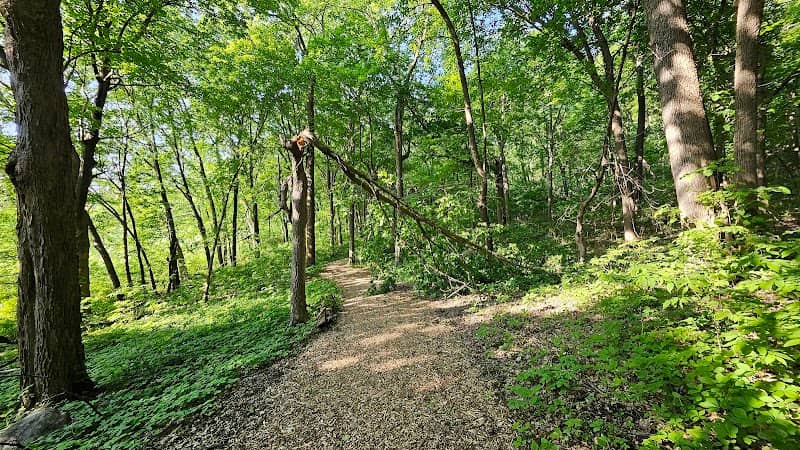 Rasmussen Woods - Image 2