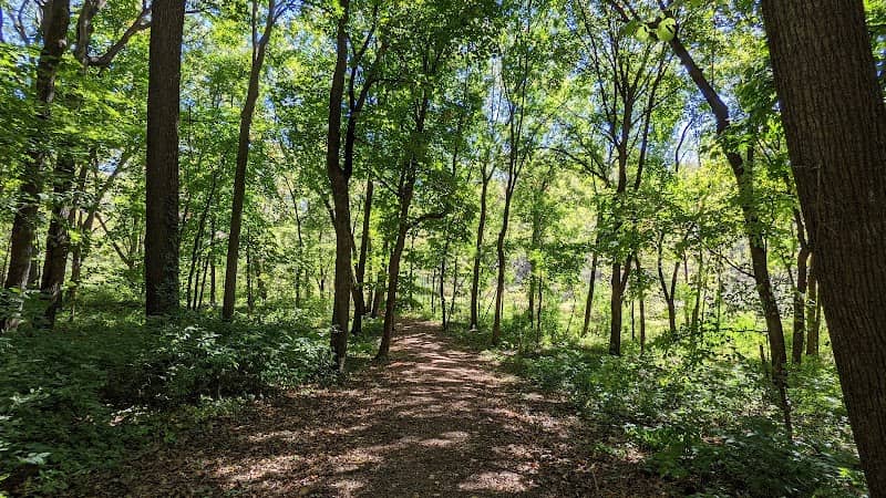 Rasmussen Woods - Image 1
