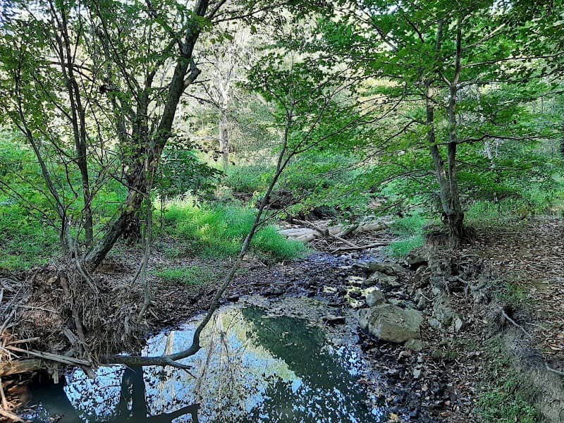 Cates Creek Park - Image 2