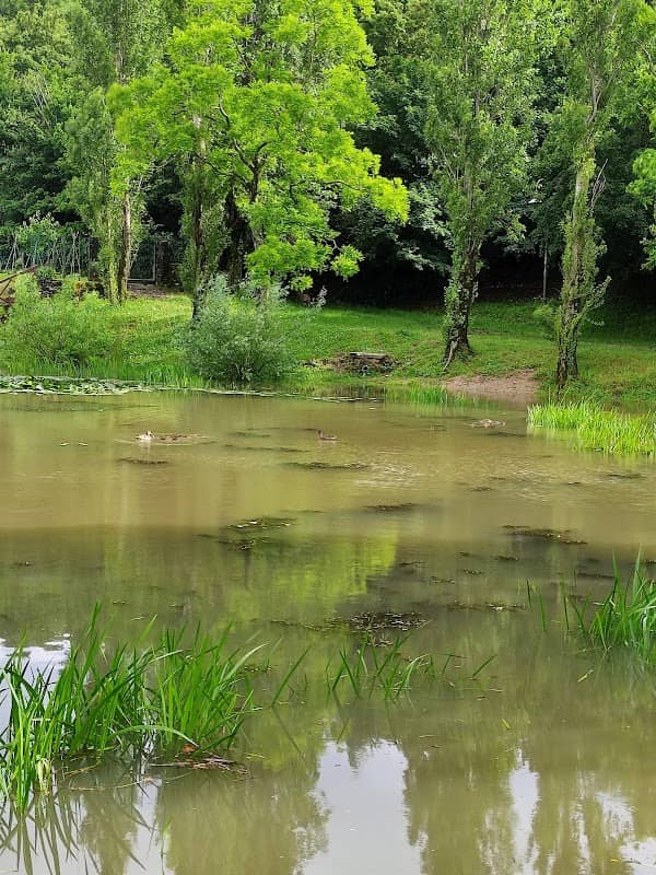 Laghetto o stagno di Contovello - Image 1