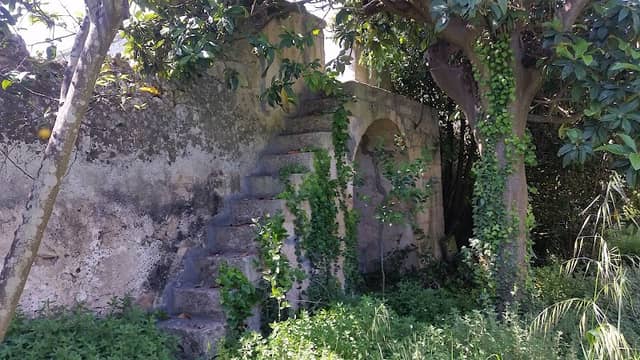 Giardino Orlandi - Image 1