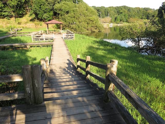 植物園湿地デッキ - Image 2