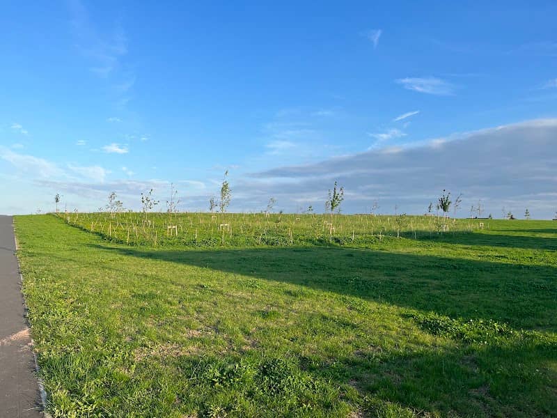 Roman Heights District Park - Image 2