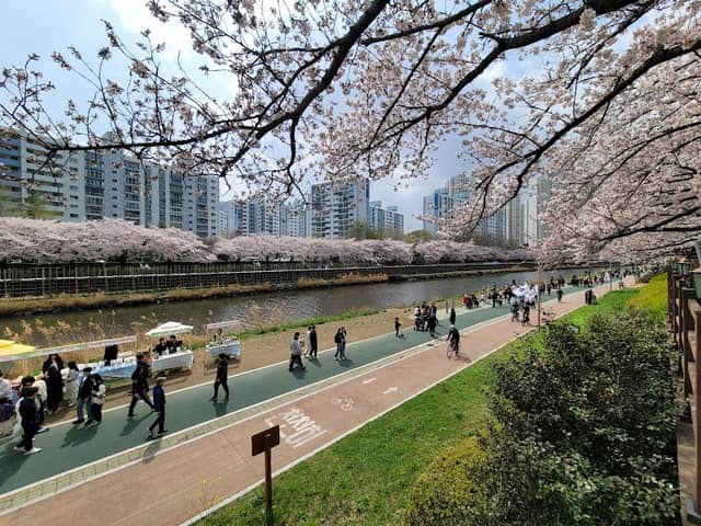 Oncheoncheon Cafe Street - Image 1