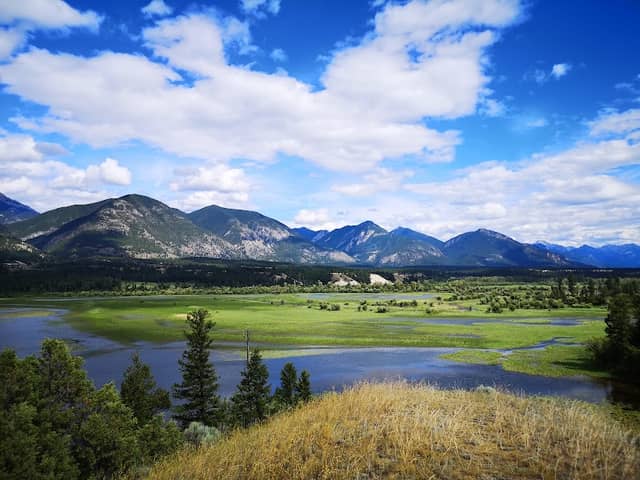 Wilmer Wetland Hike - Image 1