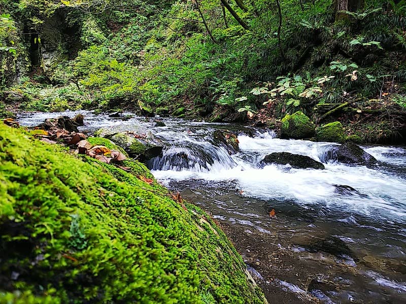 Ryugaeshi Falls - Image 3