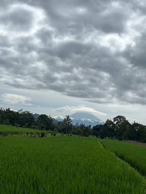 View Point Rice Fields Mountain - Image 1