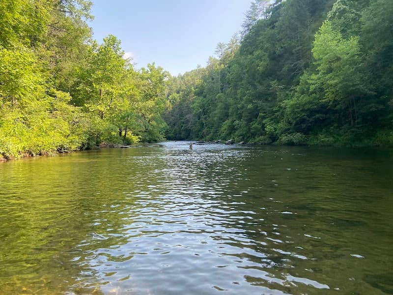 Conasauga River Snorkeling Hole - Image 1
