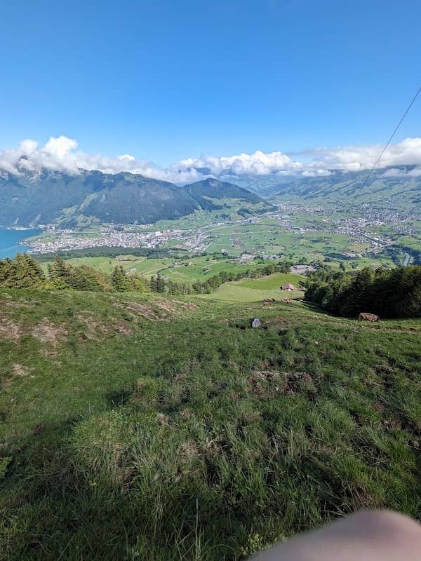 Der Pfad zum Fronalpstock (Feld) - Image 2