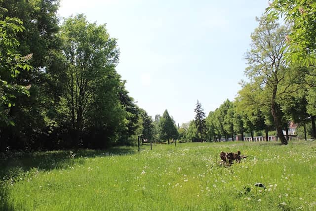 Heimattierpark Wiesenpark Oschersleben - Image 1