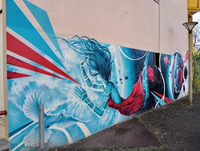Street Art le Plateau de Champigny-sur-Marne - Image 2