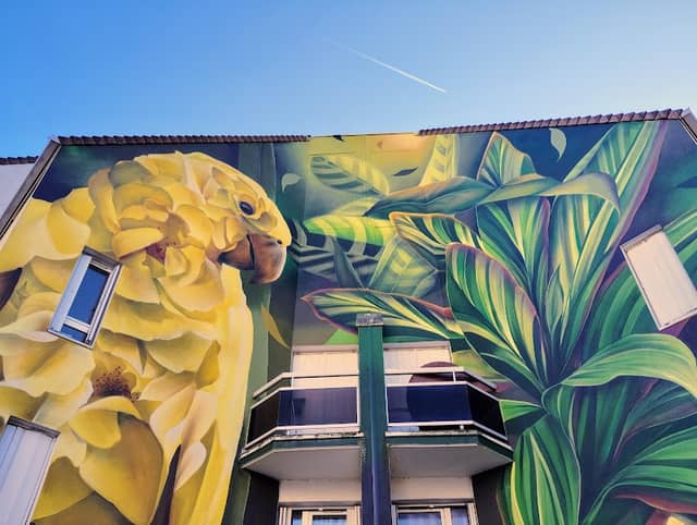 Street Art le Plateau de Champigny-sur-Marne - Image 1