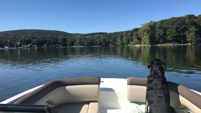 Song Lake - Image 1