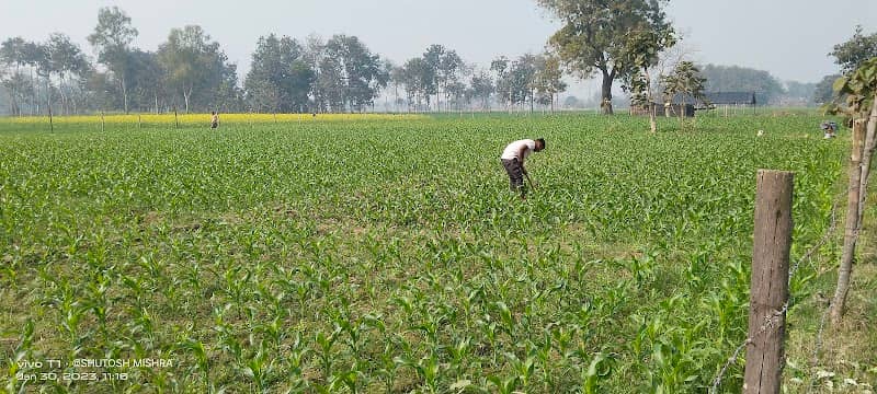 आशुतोष गार्डन फार्म रामपुर - Image 1