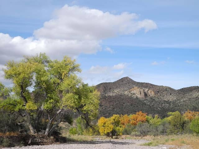 The Nature Conservancy - Muleshoe Ranch Preserve and Cooperative Management Area - Image 3
