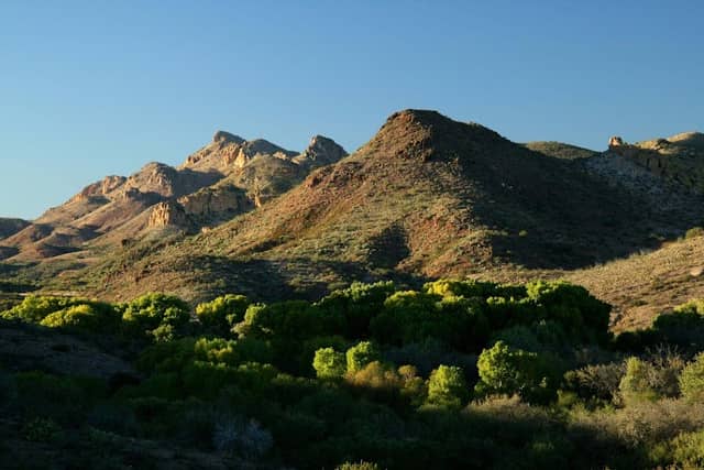 The Nature Conservancy - Muleshoe Ranch Preserve and Cooperative Management Area - Image 2