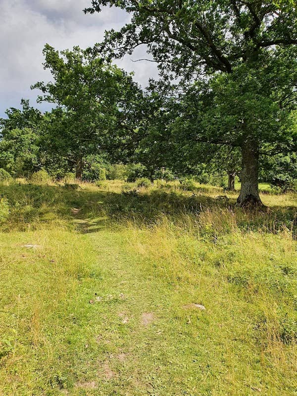 Storängens naturreservat - Image 1