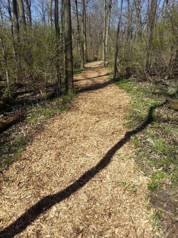 Elkhart Environmental Center - Image 2