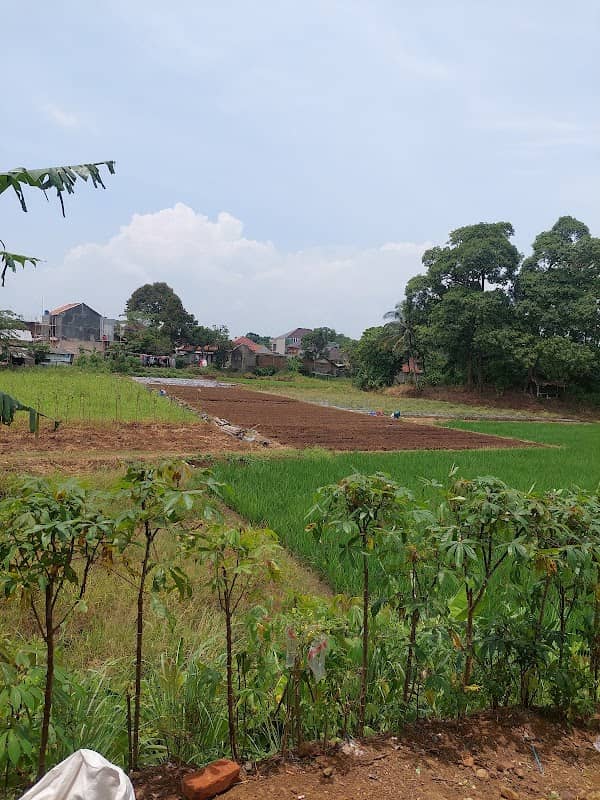 Saung Jangkung Farm - Image 1