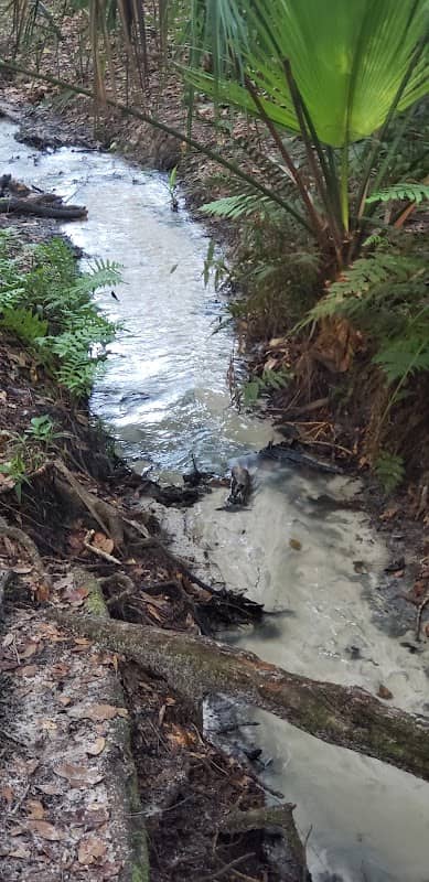 Hidden Waters Preserve Entrance - Image 1
