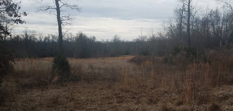 Birch Creek Preserve - Image 1