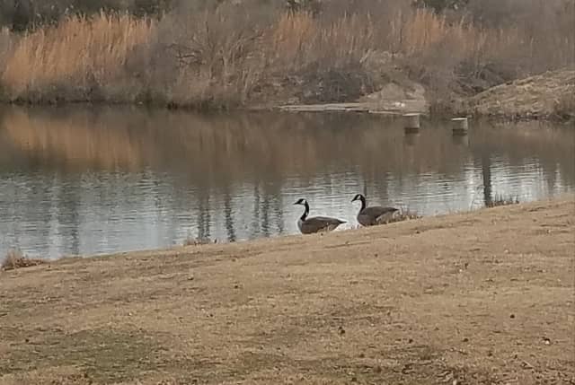 Birch Creek Preserve - Image 2