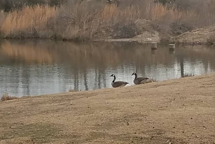 Birch Creek Preserve - Image 2