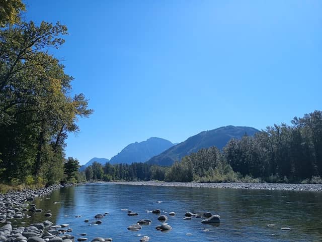 Gold Bar Off Leash Area - Image 2