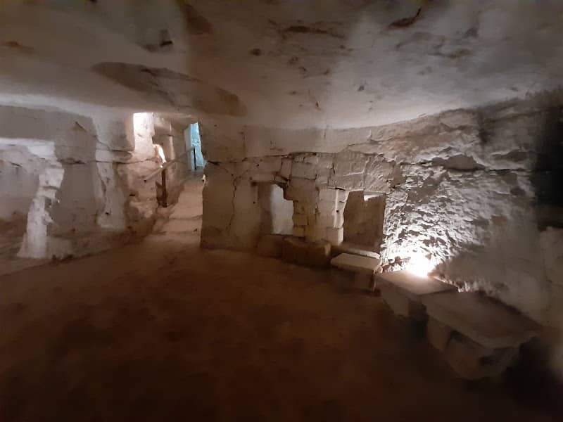Frantoio - Image 1
