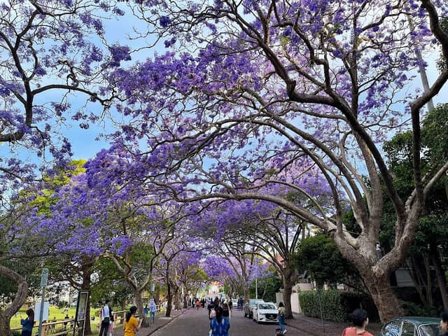 Milson Park - Image 1