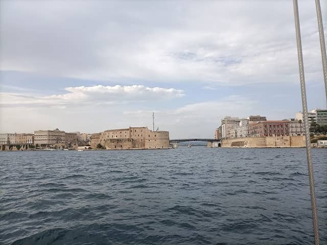 Stenella striata (Escursioni in barca a vela e promozione del territorio) - Onlus - Image 1