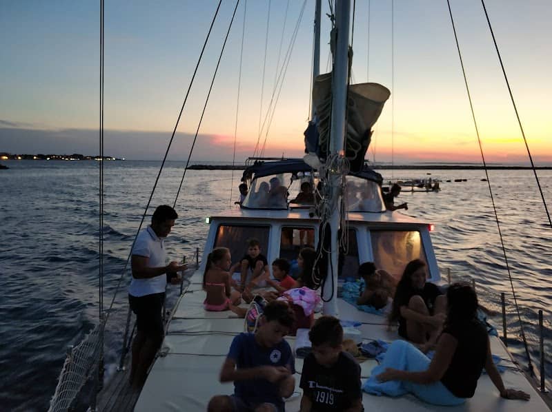 Stenella striata (Escursioni in barca a vela e promozione del territorio) - Onlus - Image 3