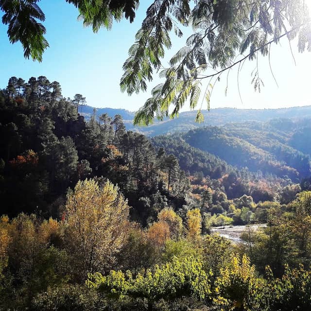 Col de Jalcreste - Image 2