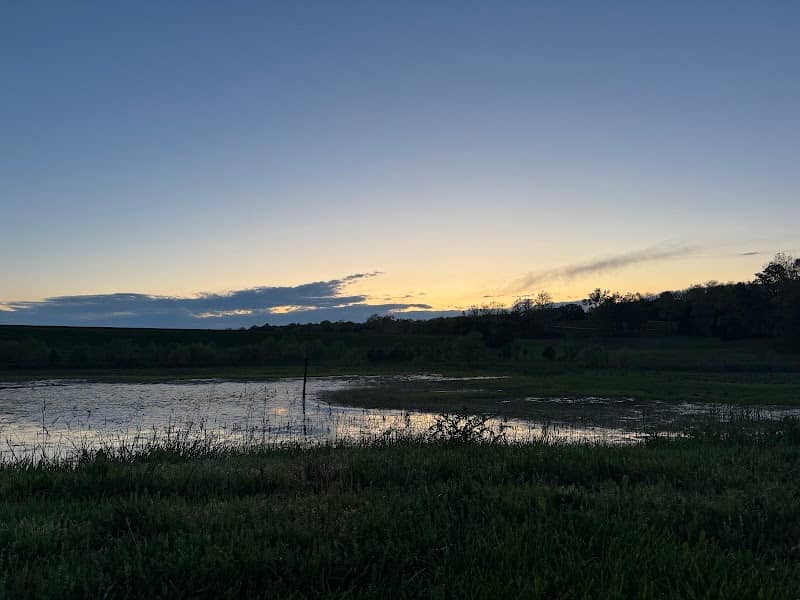 "Duck pond" wildlife viewing area - Image 1