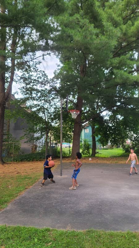 Spring St Park - Image 2